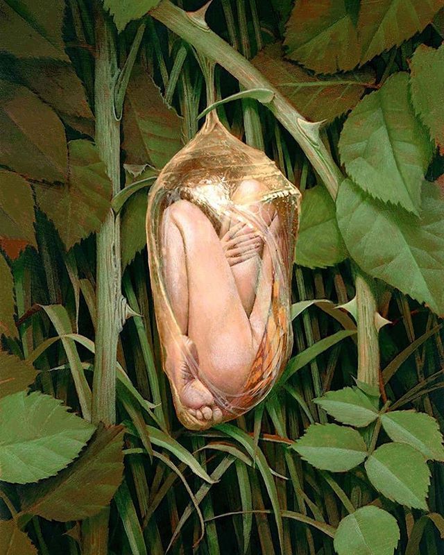 Painting of a human figure curled inside a translucent chrysalis among thorned rose stems